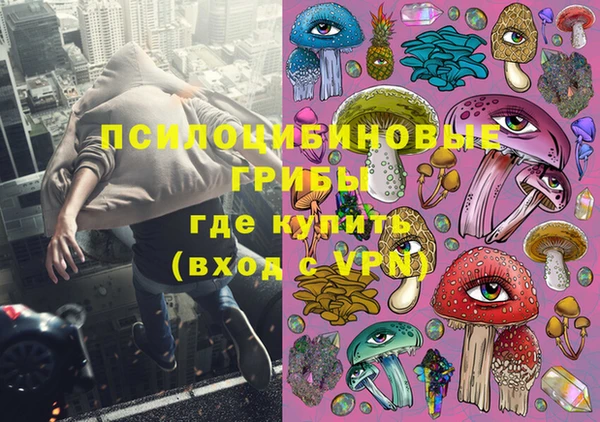 мяу мяу мука Иннополис