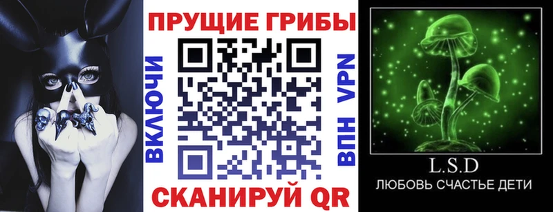Галлюциногенные грибы Magic Shrooms  Купить где  Северск 